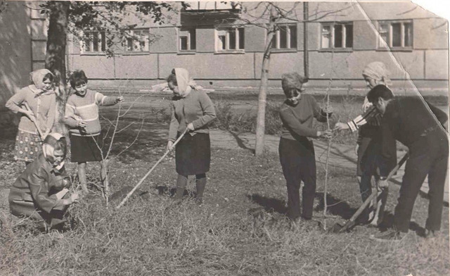 Жизнь коллектива