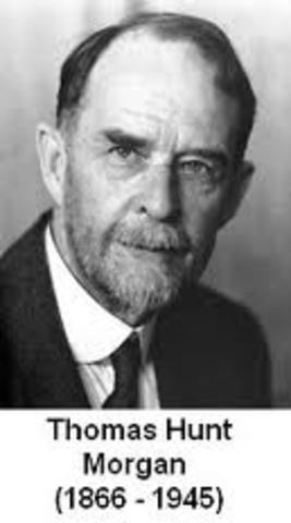 Thomas Morgan's Death