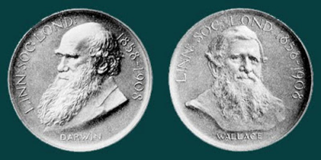 Darwin-Wallace Medal