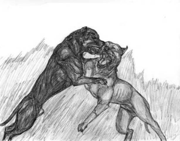 Ilegalizacion de peleas.