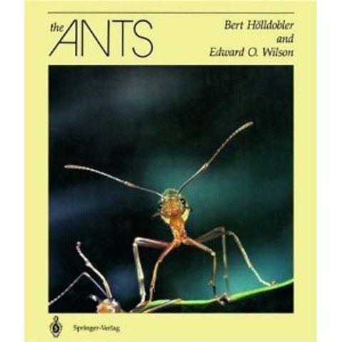 The Ants