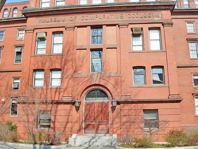 Gould becomes a curator