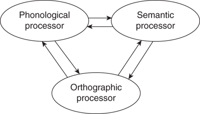 Parallel Distributed Processing Model/Connectionism