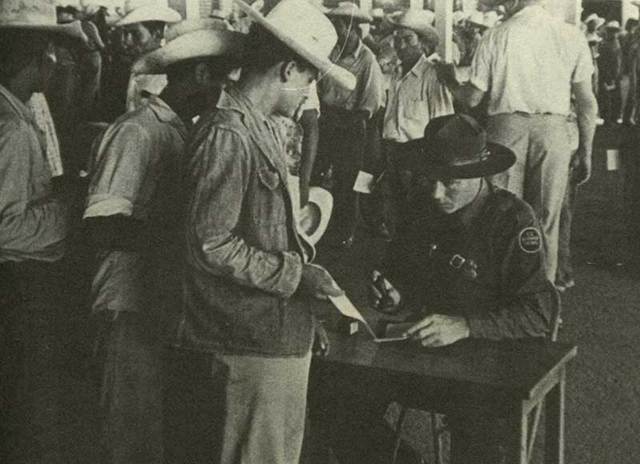 Peak year for Mexican Immigration