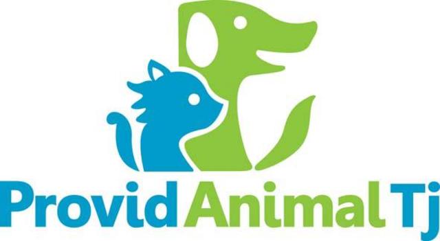 Provid Animal responde ante actos de crueldad animal en Ensenada.