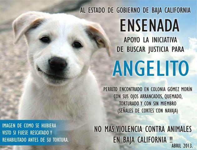 Tijuana se indigna, marcharan para exigir justicia.