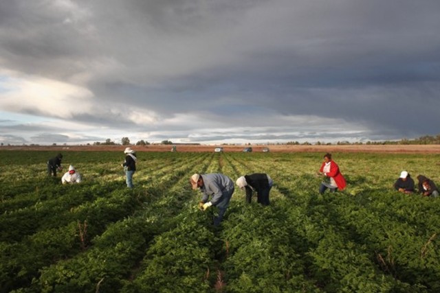 US Supreme Court Upholds Arizona Law Penalizing Businesses That Hire Undocumented Immigrants