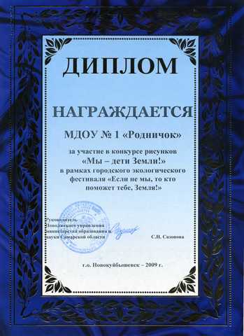 Достижения коллектива 2009 год