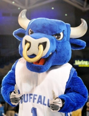 The Bison Become the Bulls