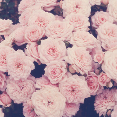 Timeline: Westward Expansion Timeline Activity