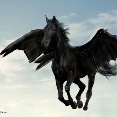 Timeline: Manifest Destiny Timeline