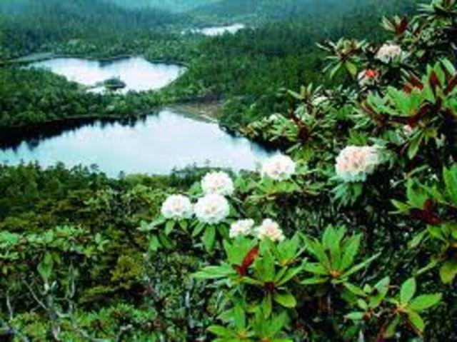 National Environmental Policy Act