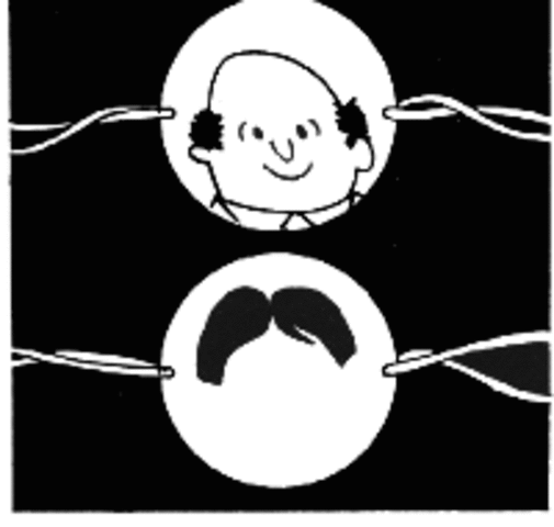 John invento el taumàtropo