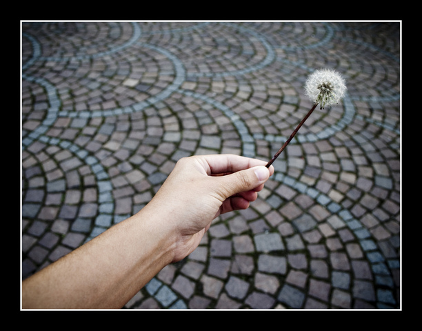Separados pero vinculados por la niña