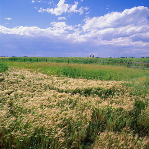 Mi tío tuvo un accidente en Nebraska