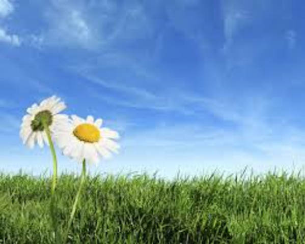 Cuando yo tenia tres anos, yo jugaba fuera, corria en el hierba y molestaba mis padres.