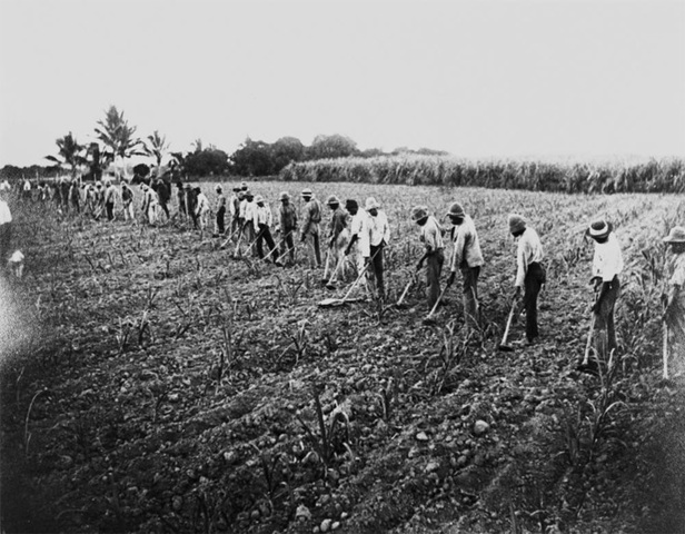 South Sea Islanders Kidnapped