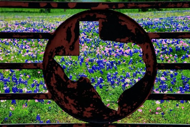 Mi familia y yo nos mudamos a Tejas.