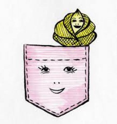 Первая сумка