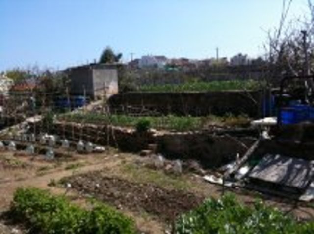 Reunió vídeos ASACO