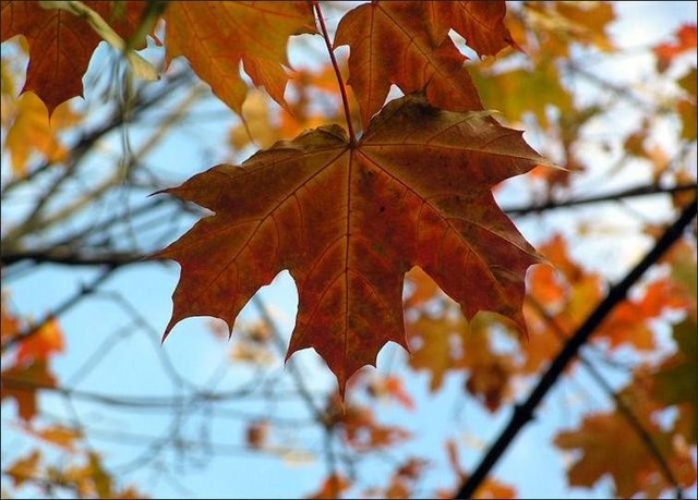 Идея создания электронных таблиц