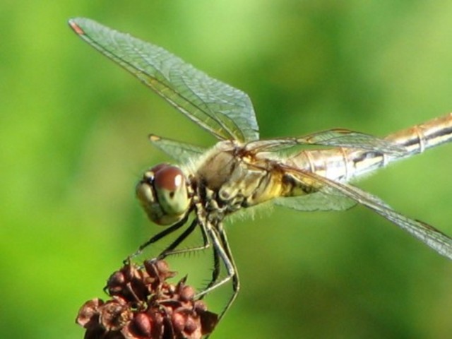 Открытие курсов