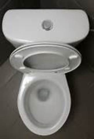 The Flushing Toilet