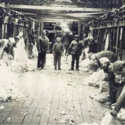 Timeline: Immigration to Argentina-Causes & Results-1870s-1914