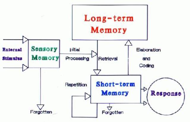 Parallel Distributed Processing Model/Connectionism