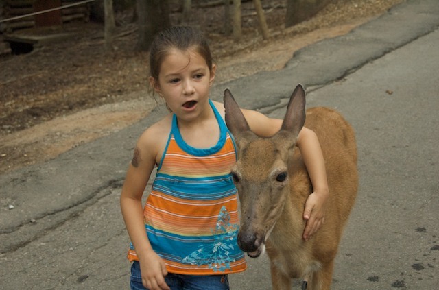 Stone Mountain Vacation - Feeding the Deer