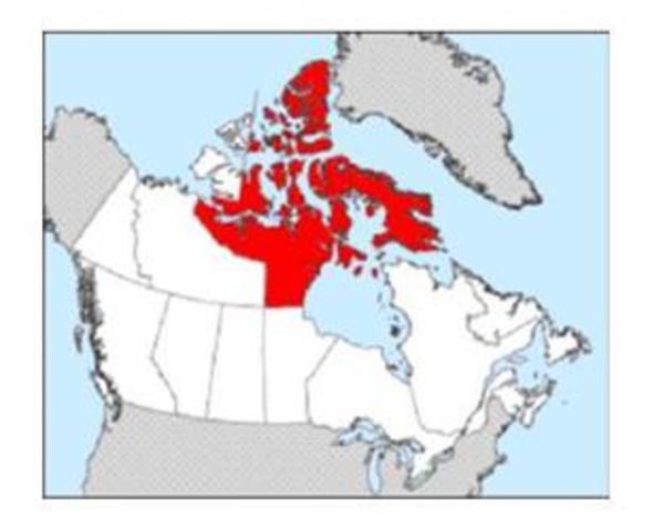 Nunavut joins Confederation