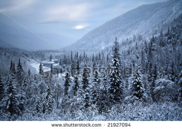 Nací en Kenai, Alaska en el diecisiete de marzo en mil noventa y ccho.