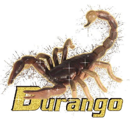 Going to Durango,Mexico!!