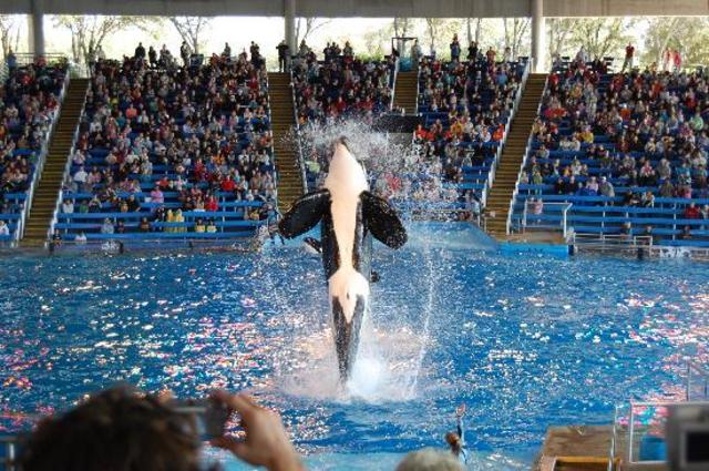 En dos mil diez fui a Sea World.