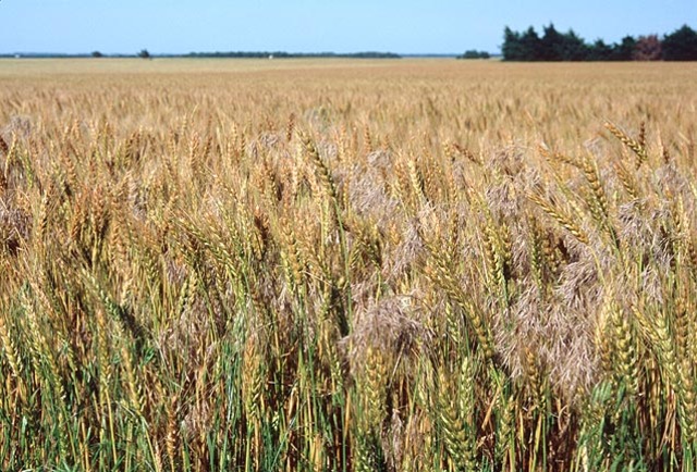 Move back to Stillwater Ok