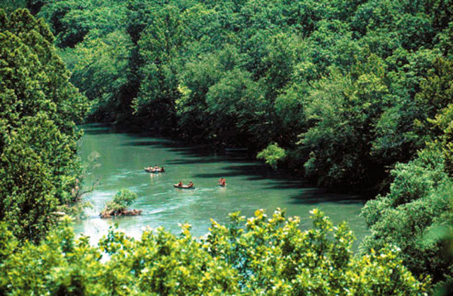 Take family vacation to Illinois River