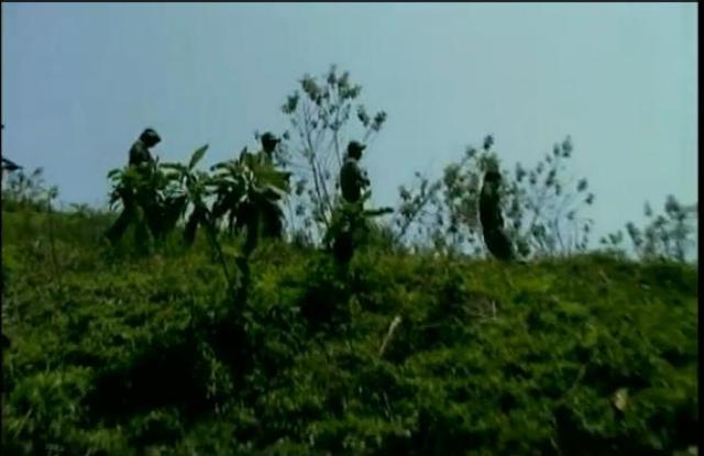 Reaccion del Gobierno