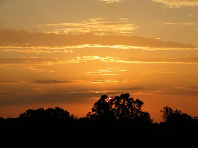 Mi familia y yo mudamos a Henderson.