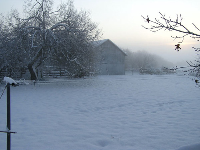 Yo vé la nieve para la primera vez.