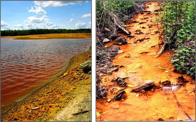 Coal mining pollutes rivers & pollution threatens underwater grasses