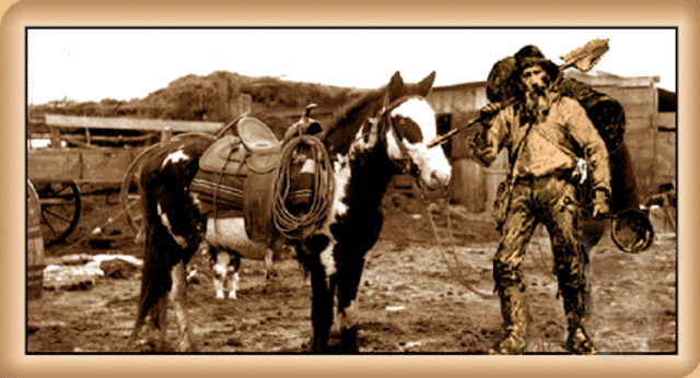 Settlers Find Oppurtunity and Liberty in the WEst