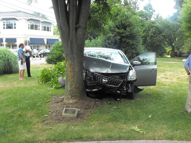 Quhocé con el árbol.