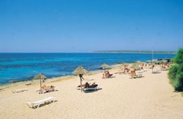 Viajé con mi familia a Túnez para nadar en el mar.