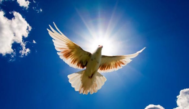 Confirmé en una ceremonia religiosa.