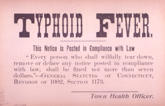 Typhoid Fever