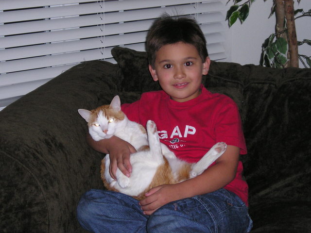 We Got Our Cat - CHEETO