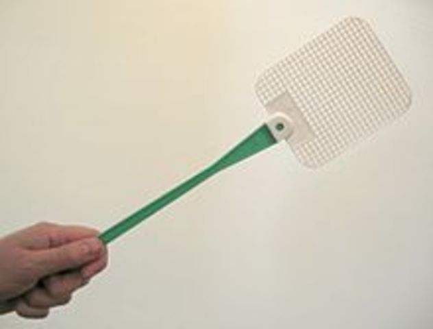 Fly swatter was invented