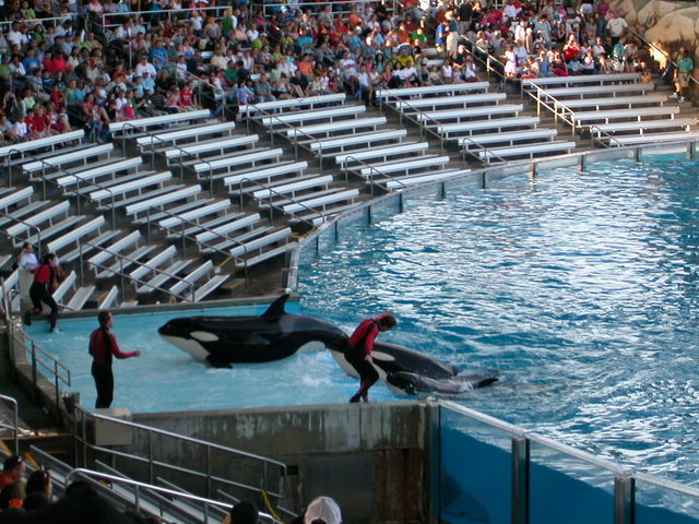 Trip to Sea World