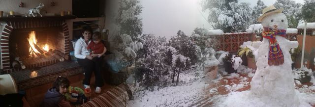 Aïllats per la neu.