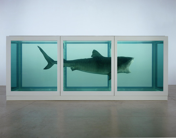 Installation: Damien Hirst - The Physical Impossibility of Death in the Mind of Someone Living